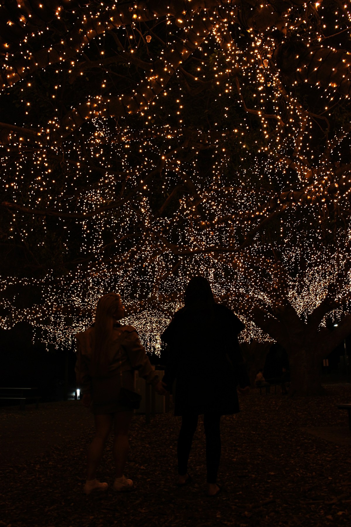 Blog: Winter Picnics